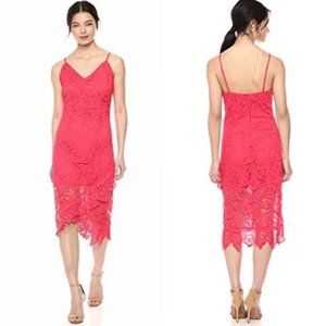 NWT BB Dakota Pink Lace Midi Dress
